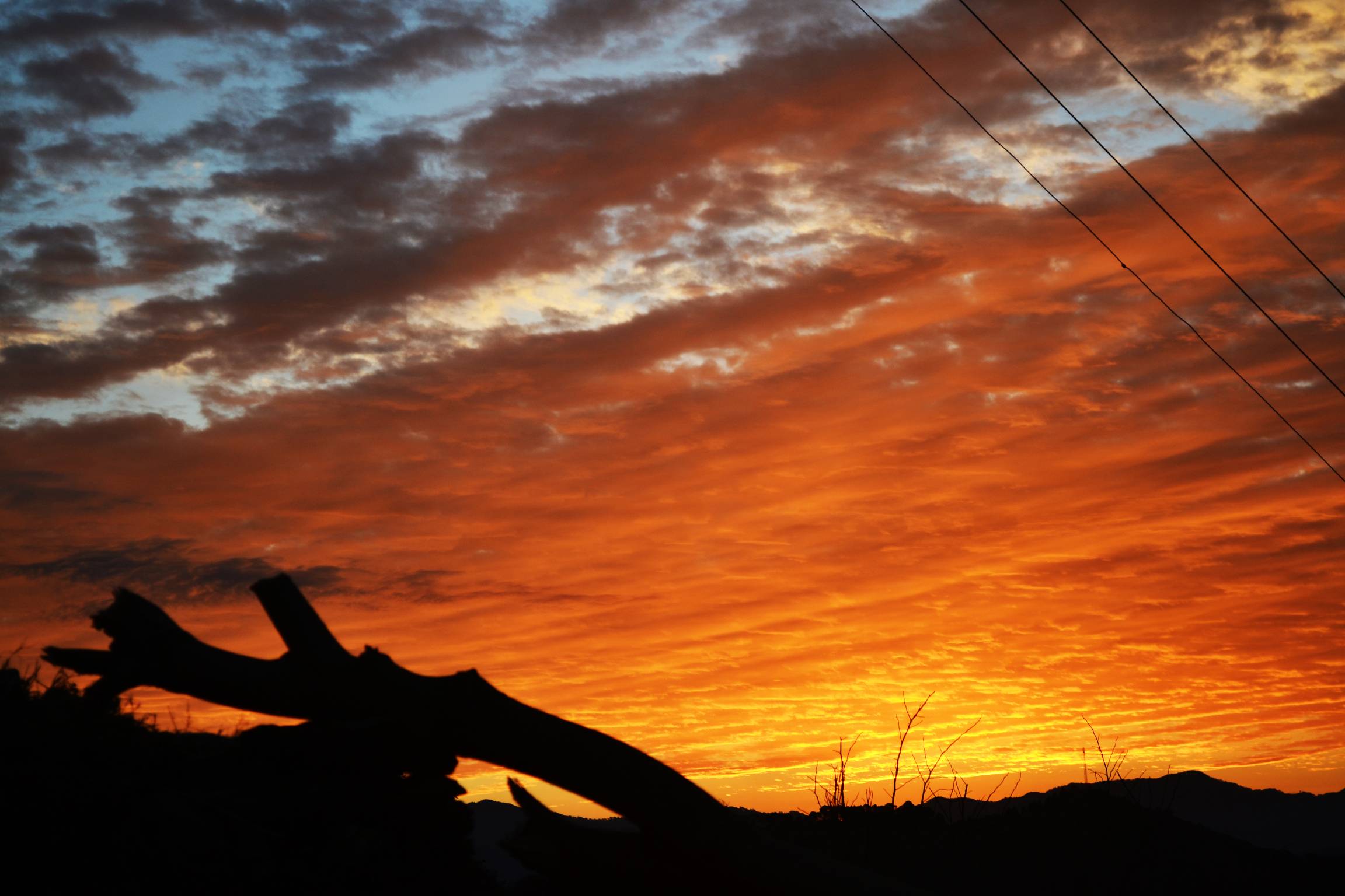 Sunset